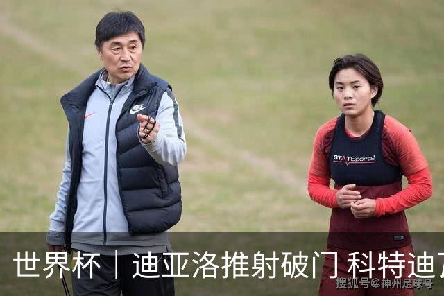 世界杯｜迪亚洛推射破门 科特迪瓦队绝杀厄瓜多尔队